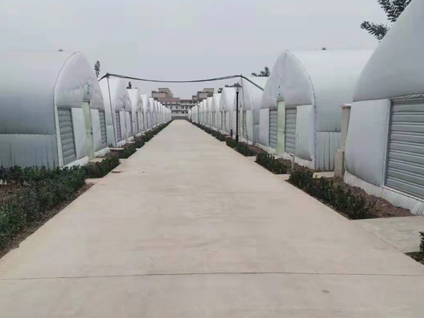 保鮮庫(kù)大棚-鋼架大棚冷庫(kù)