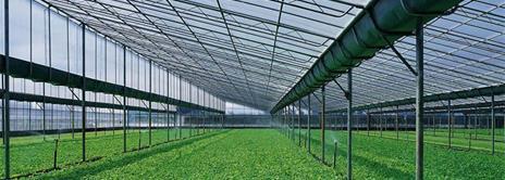 溫室大棚建設(shè)材料