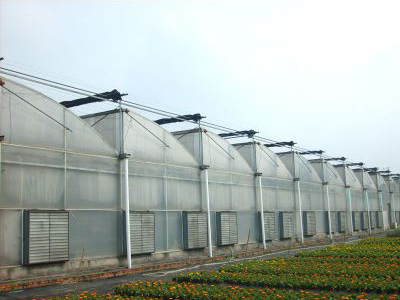 鋸齒型連棟大棚-薄膜連棟大棚-鋸齒形溫室大棚