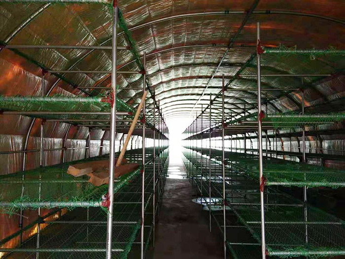 河北匯蕈溫室冷庫(kù)大棚