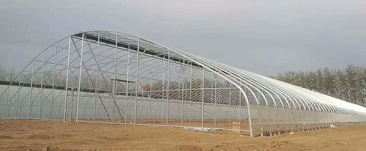 橢圓管暖棚